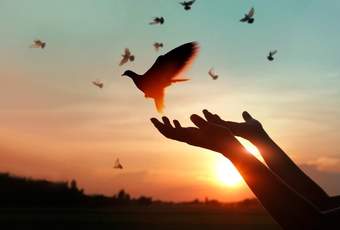 Tha thứ là một món quà